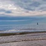 In Near Sea And