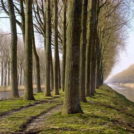 In Near Sea And Bredene