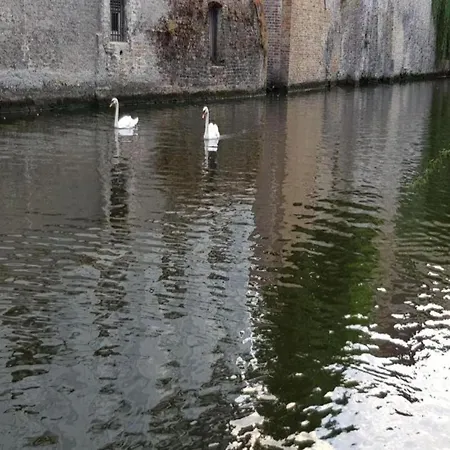 In Near Sea And Semesterbostad *