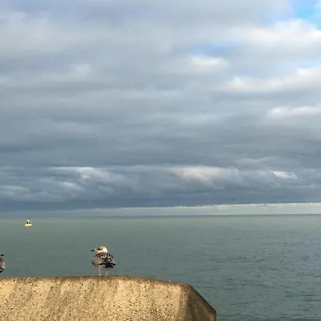 In Near Sea And Prázdninový dům