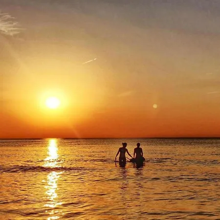 In Near Sea And Prázdninový dům *