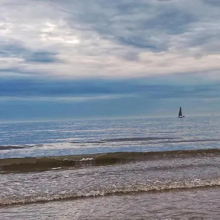 In Near Sea And