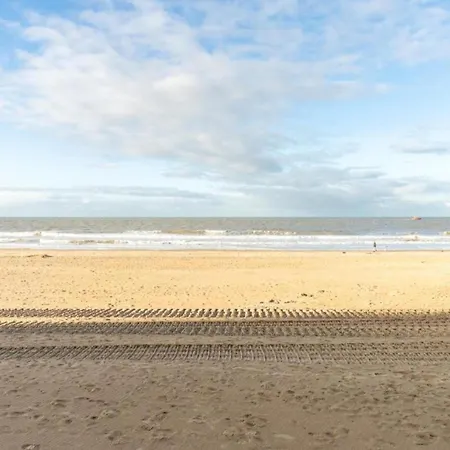 In Near Sea And Prázdninový dům *